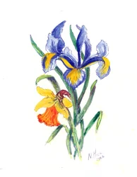Iris bleu et jonquille, 2002